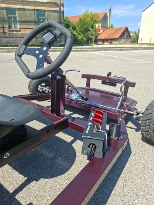 Eleanor: kart koji sam napravio