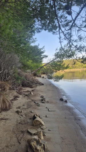 Trail uz pješčane plaže Lopara