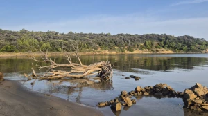 Trail uz pješčane plaže Lopara
